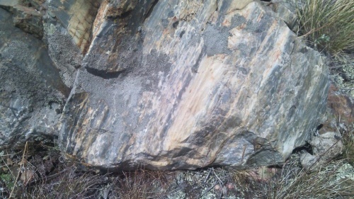 Гигантские зелёные валуны для ландшафтного дизайна весом более 5 тонн купить в Урае